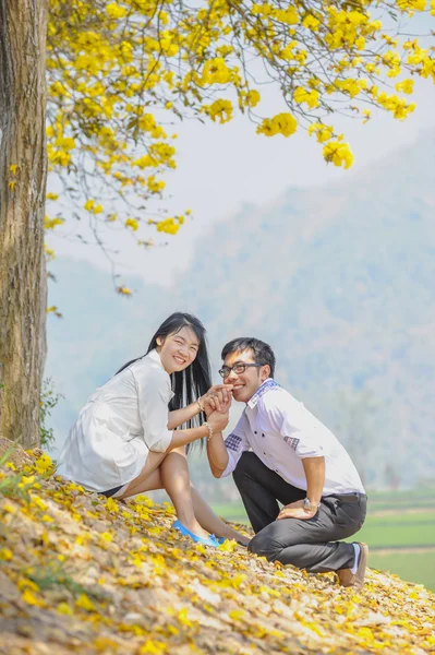 亚洲快乐年轻夫妇坐在黄色的树上 — 图库照片