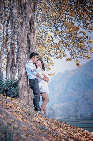 Ásia feliz casal de pé sob a árvore — Fotografia de Stock