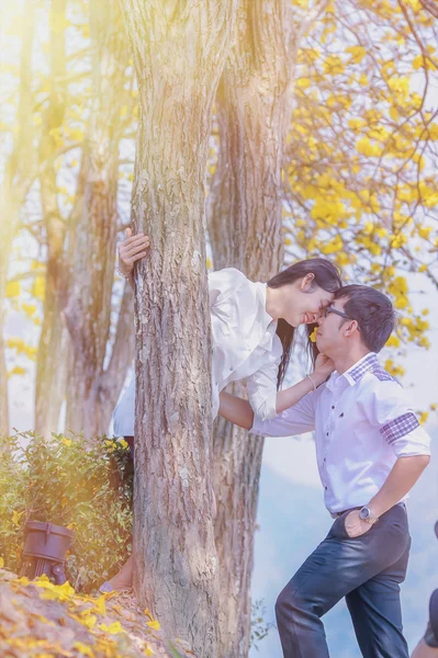 亚洲对幸福的夫妇站在树下面 — 图库照片