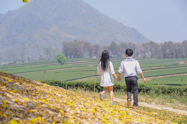 Amantes de asia caminando de la mano en el parque — Foto de Stock