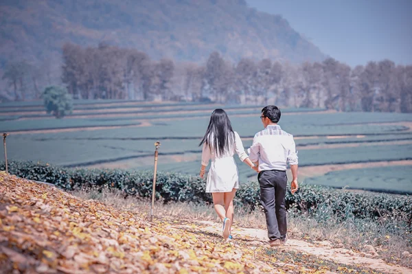 Asya aşıklar el el parkta yürüyüş — Stok fotoğraf