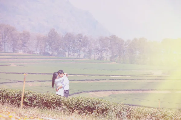亚洲夫妇拥抱在茶园 — 图库照片