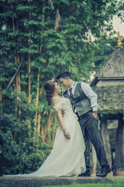 Ásia jovem elegante moda casal posando na natureza . — Fotografia de Stock