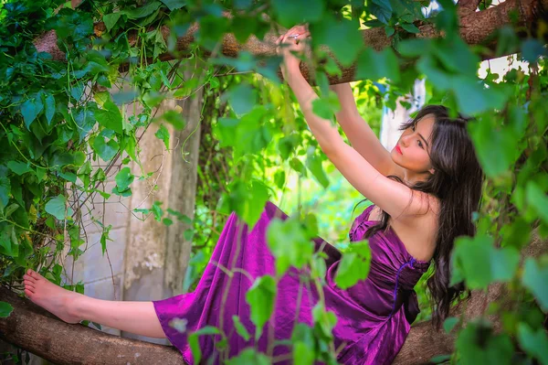 Retrato de las mujeres asiáticas acostadas en el árbol — Foto de Stock