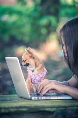 Onu köpek ve dizüstü olan mutlu kadın 