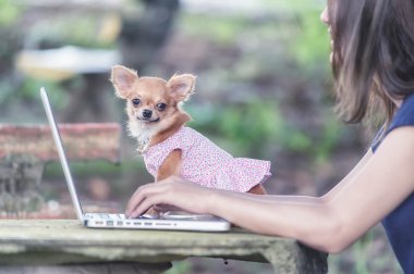 Onu köpek ve dizüstü olan mutlu kadın 