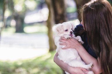 mutlu genç kadın ile köpek 
