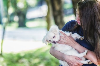 mutlu genç kadın ile köpek 