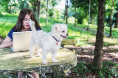 Onu köpek ve dizüstü olan mutlu kadın 