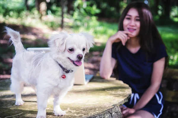 Onu köpek ve dizüstü olan mutlu kadın 