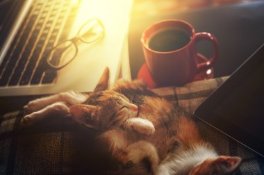 iş yerinde zamanında sakin ol