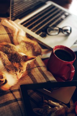 iş yerinde zamanında sakin ol