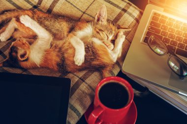 iş yerinde zamanında sakin ol