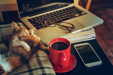 Saat iki uyku kedi kırmızı fincan kahve dizüstü ve tablet gözlük ile rahatla