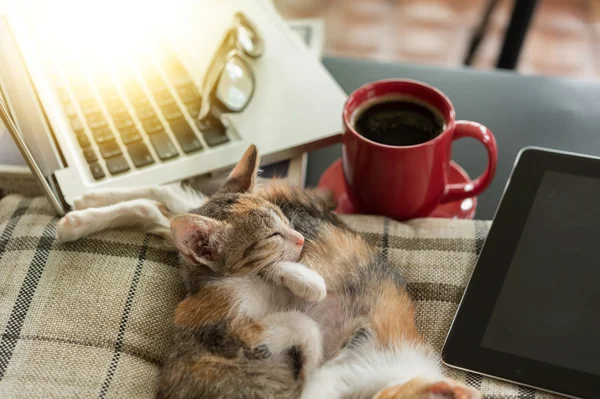 Tempo de descanso no local de trabalho — Fotografia de Stock