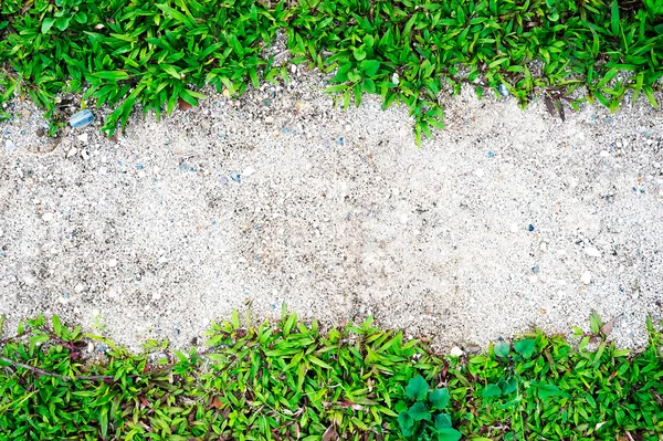 Grass frame on sand background — Stock Photo, Image