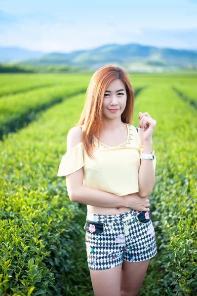 Sonrisa mujer tailandesa de pie en la plantación de té, Chiangrai Tailandia — Foto de Stock