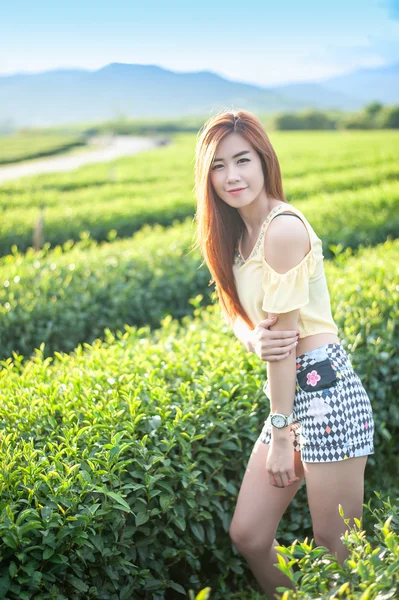 Sonrisa mujer tailandesa de pie en la plantación de té, Chiangrai Tailandia — Foto de Stock