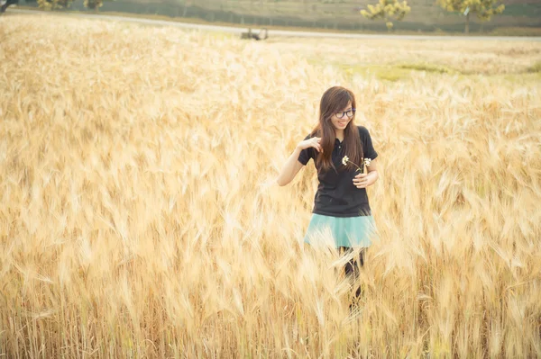 Портрет красивой женщины в очках в ячменном поле — стоковое фото