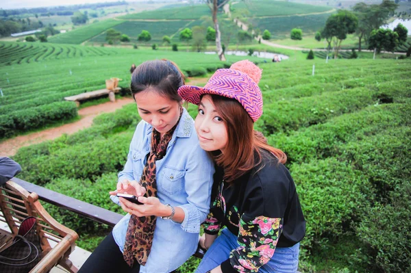 Dos asia hermosa mujer con teléfono en granja de té —  Fotos de Stock