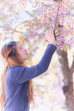 Asyalı kadın ile Himalaya vişne ya da kiraz çiçeği 
