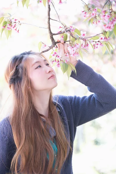 ヒマラヤ桜や桜の花を持つアジアの女性 — ストック写真