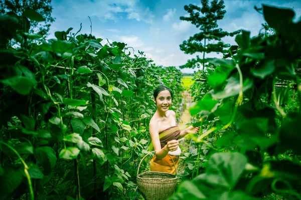 Asia hermosa mujer y cesta de cosecha que contiene calabacín — Foto de Stock