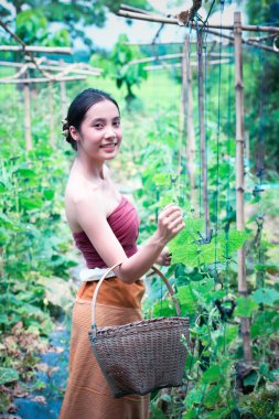 Asya güzel kadın ve içeren kabak hasat sepeti