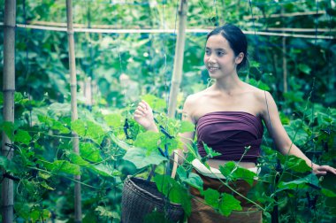 Asya güzel kadın ve içeren kabak hasat sepeti