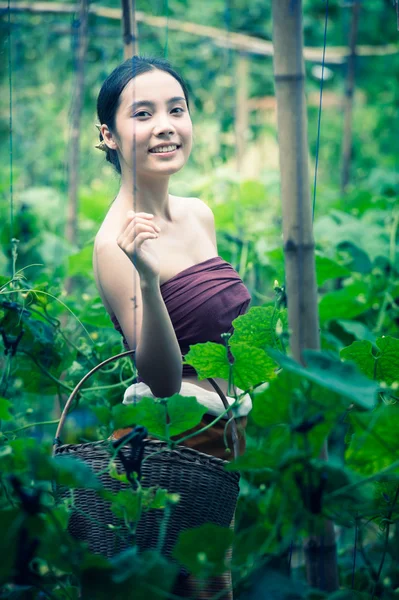 アジアの美しい女性とバスケット含むズッキーニを収穫 — ストック写真