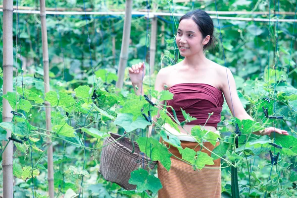 Asia gyönyörű nő és a betakarítás tartalmazó cukkini kosár — Stock Fotó