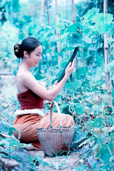 Asia piękna kobieta i koszem zbioru zawierającego cukinia — Zdjęcie stockowe