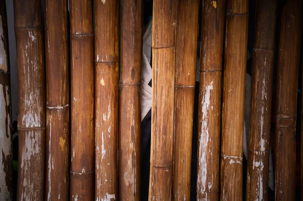 Bamboo fence background — Stock Photo, Image