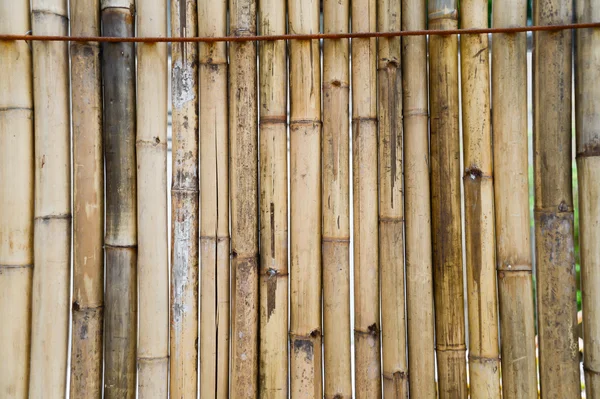 Bamboo fence background — Stock Photo, Image