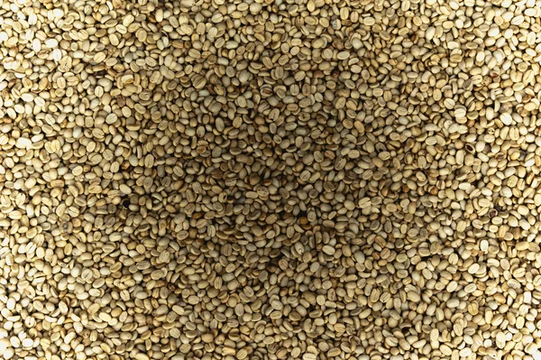 Background texture of green un-roasted coffee beans. — Stock Photo, Image