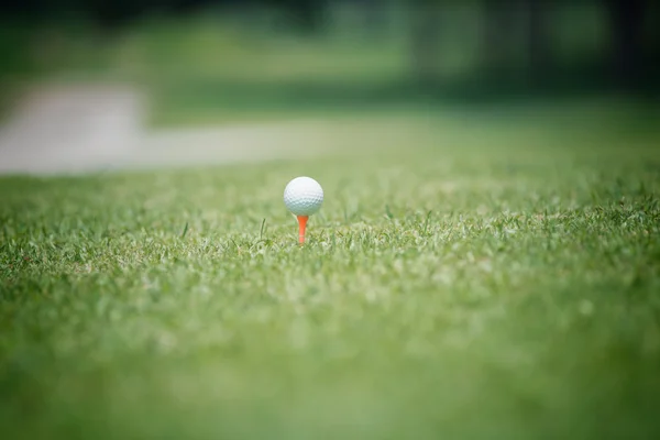 Λέσχη γκολφ και μπάλα στο πράσινο γρασίδι — Φωτογραφία Αρχείου