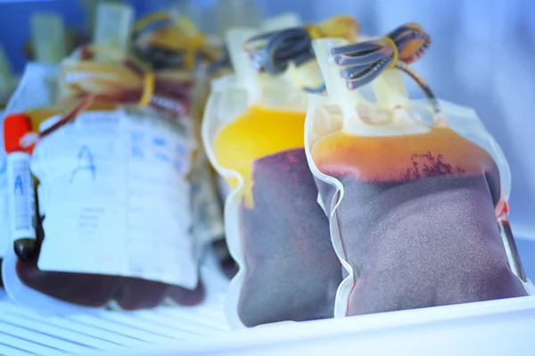 Bolsa de sangre en el refrigerador en el banco de sangre — Foto de Stock