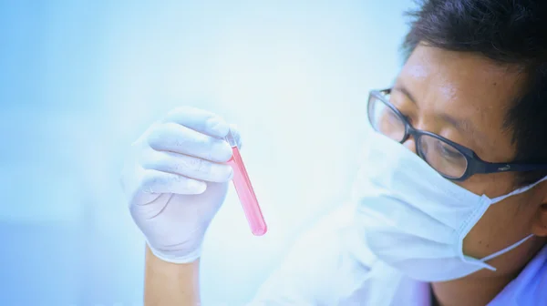 Cientista detém e examina amostras em laboratório — Fotografia de Stock