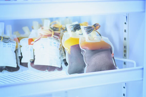 Bolsa de sangue no refrigerador no banco de sangue — Fotografia de Stock