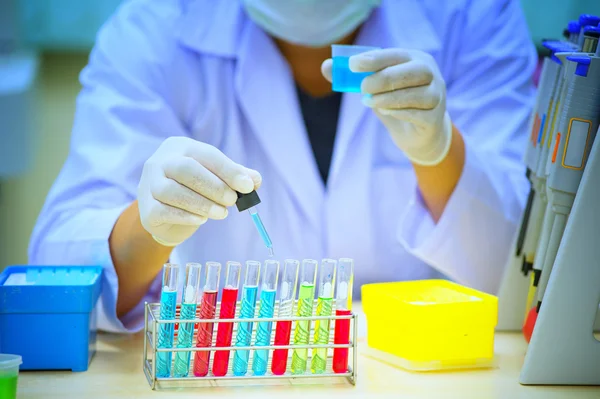 Cientista detém e examina amostras em laboratório — Fotografia de Stock