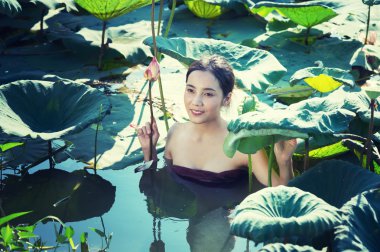 Taylandlı kadın çiftçi toplama lotus Bahçe, Tayland Yaşam