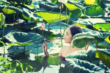 Taylandlı kadın çiftçi toplama lotus Bahçe, Tayland Yaşam