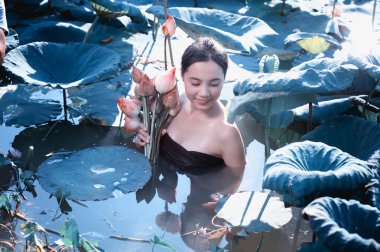 Taylandlı kadın çiftçi toplama lotus Bahçe, Tayland Yaşam
