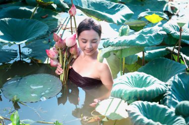 Taylandlı kadın çiftçi toplama lotus Bahçe, Tayland Yaşam