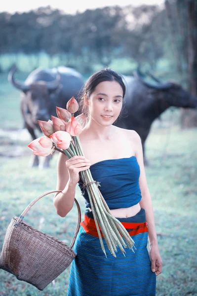 Tailandesas ancianas con búfalo en el campo —  Fotos de Stock