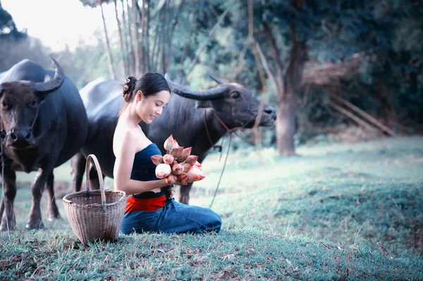 Thai anciennes jeunes femmes avec buffle sur rural — Photo