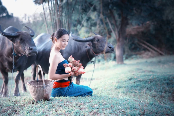 Thailändska gamla unga kvinnor med buffalo på landsbygden — Stockfoto