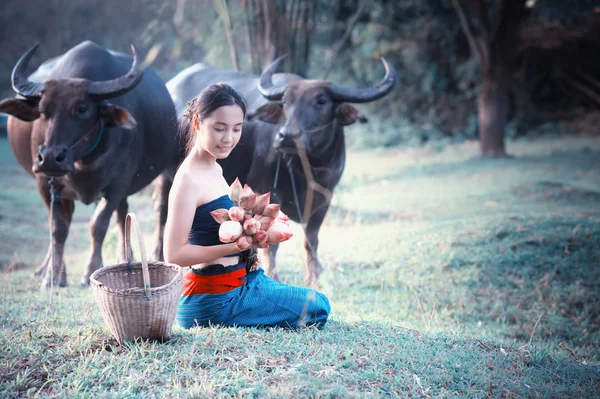 Thai ősi fiatal nők Buffalo a vidéki — Stock Fotó