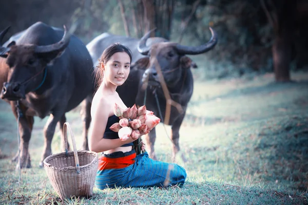 Thai ősi fiatal nők Buffalo a vidéki — Stock Fotó