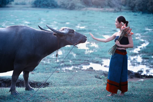 Thajské starověké mladé ženy s buffalo na venkově — Stock fotografie